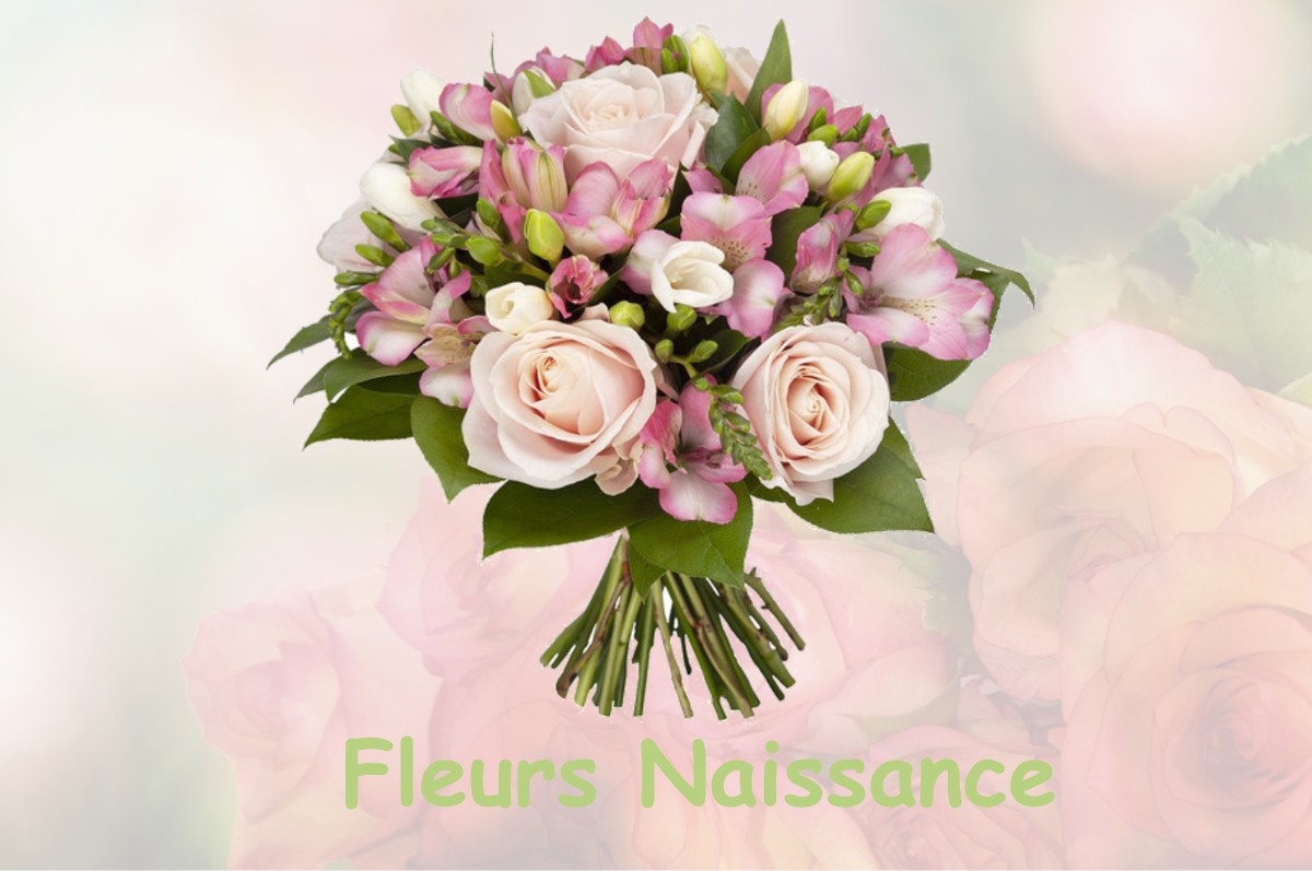 fleurs naissance PAYSSOUS