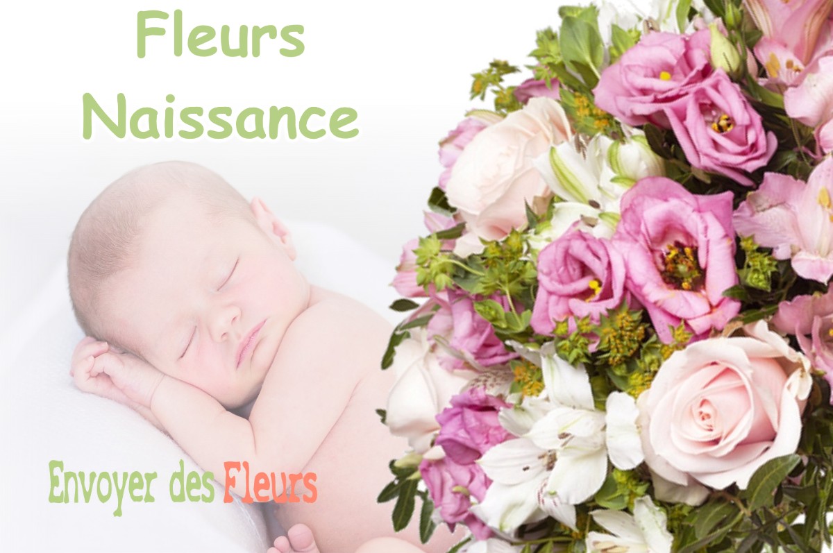 lIVRAISON FLEURS NAISSANCE à PAYSSOUS